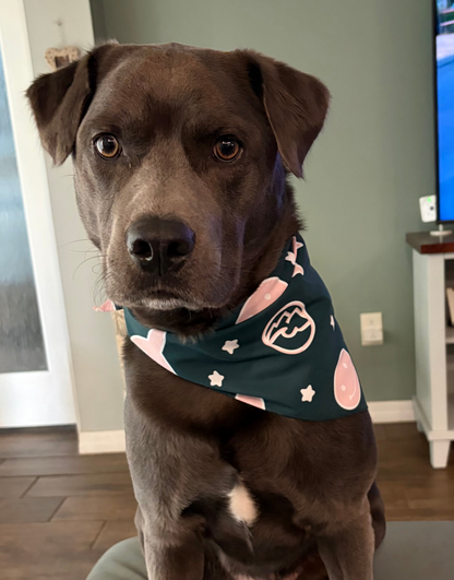 Dog wearing a bandana around it's neck.